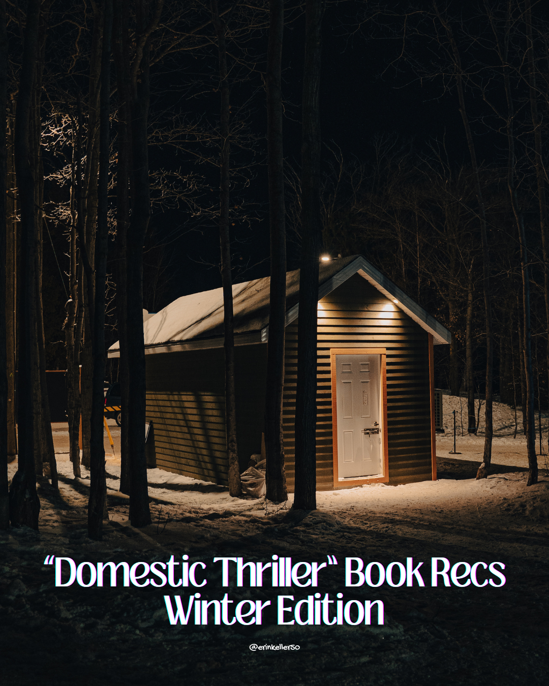 Chilling Domestic Thrillers for Winter Nights